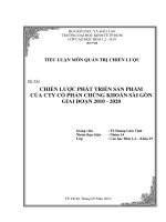 Tiểu luận quản trị chiến lược: Chiến lược phát triển sản phẩm của công ty cổ phần chứng khoán Sài Gòn giai đoạn 2010  2020