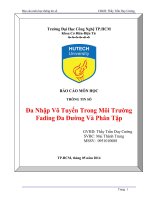 Báo cáo thông tin số