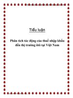 Tiểu luận: Phân tích tác động của thuế nhập khẩu đến thị trường ôtô tại Việt Nam