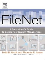 filenet a consultants guide to enterprise content management (2004) ddu