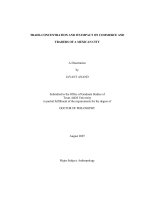 Trade-concentration and its impact on commerce and traders of a Mexican city