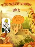 công nghệ chế tạo bê tông