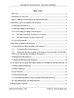 Tiểu luận: Thị trường mở Việt Nam hiện nay  Thực trạng và giải pháp