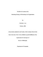 the role of location in the marketing strategy of performing arts organizations