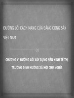 ĐƯỜNG LỐI XÂY DỰNG NỀN KINH TẾ THỊ TRƯỜNG ĐỊNH HƯỚNG XHCN