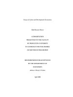 essays in labor and development economics