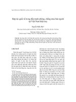 Hợp tác quốc tế trong đấu tranh phòng, chống mua bán người tại việt nam hiện nay