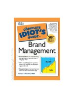 the complete idiot's guide to brand management