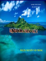 Bài giảng bệnh của phần mềm   PGS  TS  nguyễn văn thắng