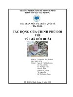 Tác động của chính phủ đối với tỷ giá hối đoái