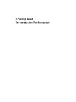 brewing yeast fermentation performance 2002