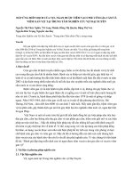 Đáp ứng miễn dịch của vịt, ngan được tiêm vaccine cúm gia cầm và viêm gan vịt tại trung tâm nghiên cứu vịt đại xuyên