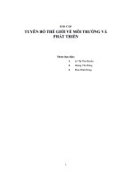 báo cáo tuyên bố thế giới về môi trường và phát triển