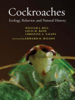 the johns hopkins university press cockroaches ecology behavior and natural history jun 2007