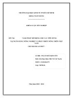 GIẢI PHÁP MỞ RỘNG CHO VAY TIÊU DÙNG  TẠI NGÂN HÀNG NÔNG NGHIỆP VÀ PHÁT TRIỂN NÔNG THÔN VIỆT NAM  CHI NHÁNH AN PHÚ