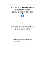 đề tài báo cáo bao bì thực phẩm bao bì lạnh đông