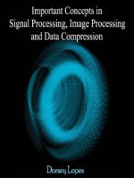 dorsey lopes  -  important concepts in signal processing, image processing and data compression