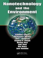 nanotechnology and the environment, 2009, p.296