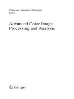 christine fernandez - maloigne  -  advanced color image processing and analysis