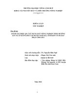 ĐÁNH GIÁ HIỆU QUẢ SỬ DỤNG ĐẤT NÔNG NGHIỆP THEO HƯỚNG SẢN XUẤT HÀNG HOÁ TẠI HUYỆN ĐẮK HÀ, TỈNH KON TUM GIAI ĐOẠN 2005-2011