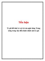 Tiểu luận: Tỷ giá hối đoái và vai trò của ngân hàng Trung ương trong việc điều hành chính sách tỷ giá