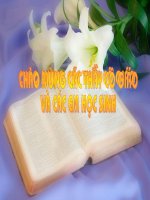 Bài giảng cây tre