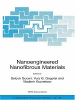 nanoengineered nanofibrous materials, 2004, p.534