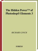 the hidden power of photoshop elements 3