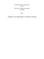 Nghiên cứu về quản trị doanh nghiệp của OMO Việt Nam