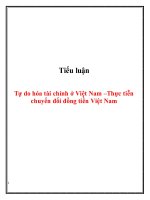 Tiểu luận: Tự do hóa tài chính ở Việt Nam  và Thực tiễn chuyển đổi đồng tiền Việt Nam
