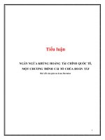 Tiểu luận: Ngăn ngừa khủng hoảng tài chính quốc tế, một chương trình cải tổ chủa hoàn tất