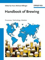handbook of brewing 2009 - eblinger