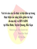 Vai trò của các tổ chức xã hội dân sự trong thực hiện các sáng kiến giảm tác hại do ma túy và HIV AIDS tại hòa bình, tuyên quang bắc kạn