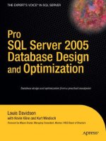 pro sql server 2005 database design and optimization