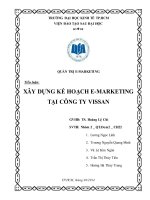 Tiểu luận quản trị marketing: Xây dựng kế hoạch emarketing tại công ty Vissan