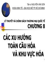 Bài giảng Lý thuyết và chính sách thương mại quốc tế: Chương 8 TS. Nguyễn Văn Sơn
