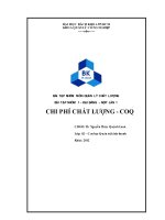 Bài tập nhóm môn quản lý chất lượng: Chi phí chất lượng  COQ