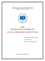 Tiểu luận: Giải pháp nâng cao hiệu quả các dự án phần mềm tại công ty WAE