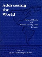 addressing the world national identity and internet country code domains