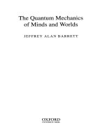 the quantum mechanics of minds and worlds nov 2001