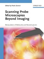 scanning probe microscopies beyond imaging. manipulation of molecules and nanostructures, 2006, p.559