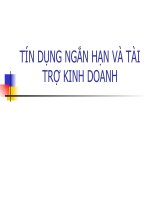 Bài giảng Nghiệp vụ tín dụng: Tín dụng ngắn hạn và tài trợ kinh doanh