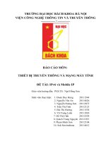 Đề tài IPv6 và mobile IP