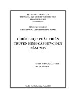 Tiểu luận quản trị chiến lược: Chiến lược phát triển truyền hình cáp HTVC đến năm 2015