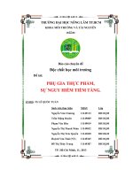 đề tài phụ gia thực phẩm  sự nguy hiểm tiềm tàng