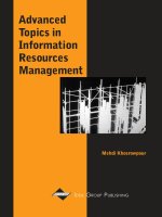 advanced topics in information resources management. volume 1