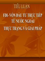 Tiểu luận: FDI  Vốn đầu tư trực tiếp từ nước ngoài thực trạng và giải pháp