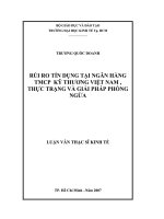 rủi ro tín dụng tại ngân hàng thương mại cổ phần kỹ thương việt nam   thực trạng và giải pháp phòng ngừa