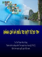 Bài giảng đánh giá và điều trị đột tử do tim   TS BS  phạm hùng (2)