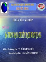 thuyết trình đồ án tốt nghiệp QOS TRONG MẠNG CHUYỂN MẠCH BURST  QUANG